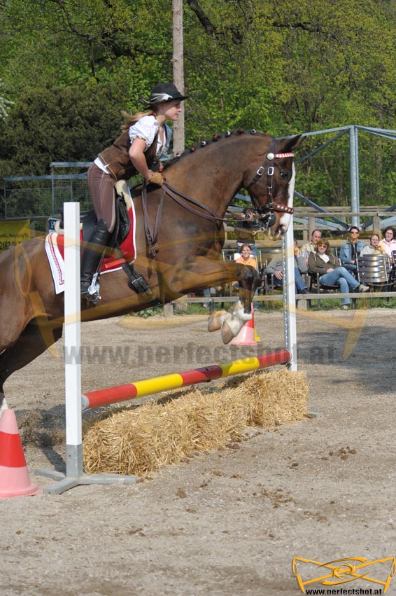 pferd;horse;working;equitation;marienhof;spillern;2009;speed;trail